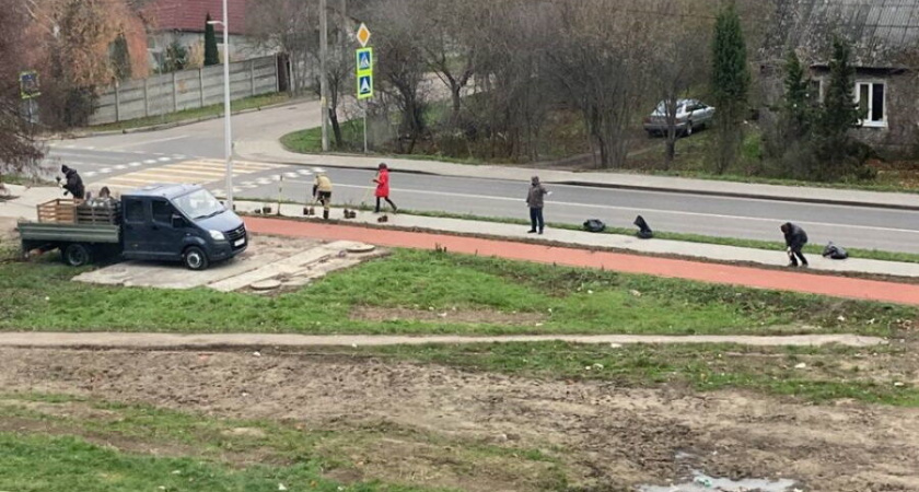 В Калининграде на Судостроительной сажают деревья в мороз 