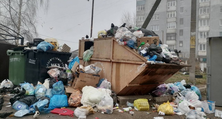 В Балтийске на Гоголя долгое время не вывозят мусор