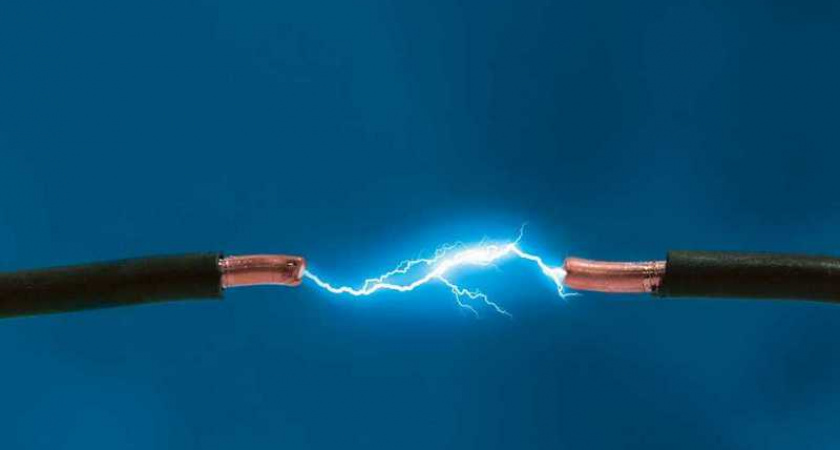 В Черняховске собаку ударило током от неисправного фонарного столба 