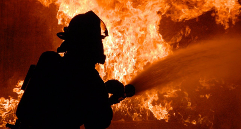 В Черняховском районе при пожаре погиб крупный рогатый скот 