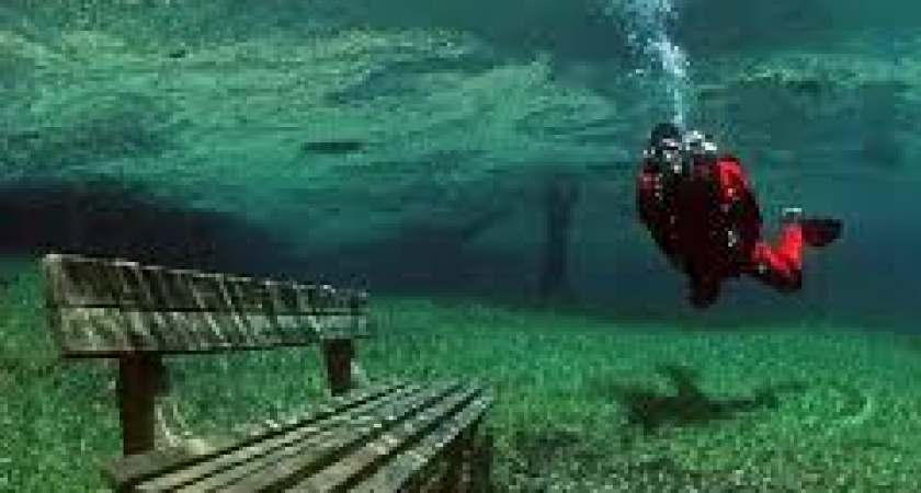 В Калининградской области планируют открыть подводный археологический парк