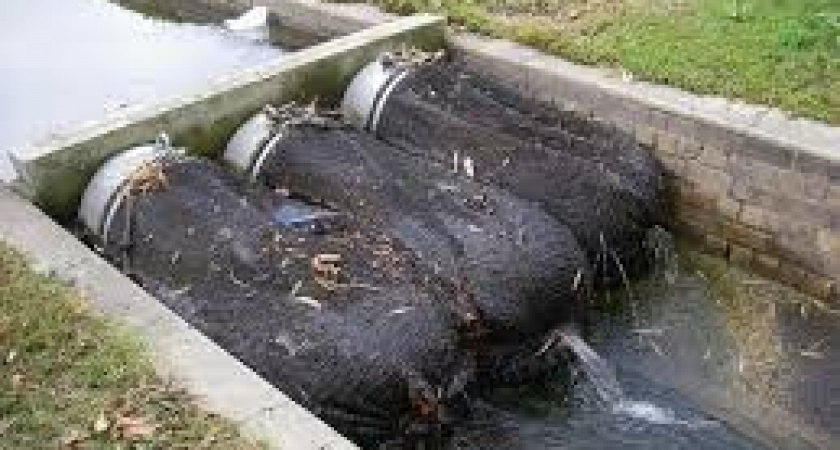 В Калининграде при очистке реки Лесной вывезли 425 самосвалов мусора