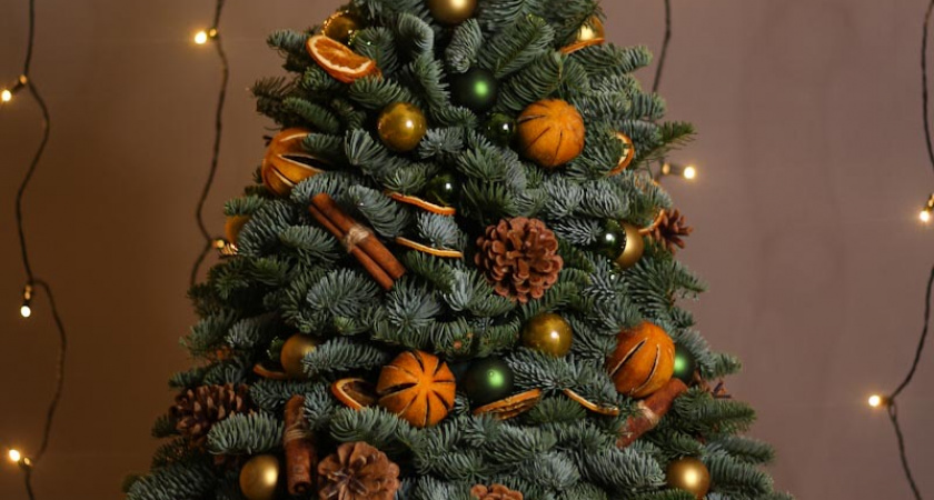 Минприроды объявили о переработке новогодних елей