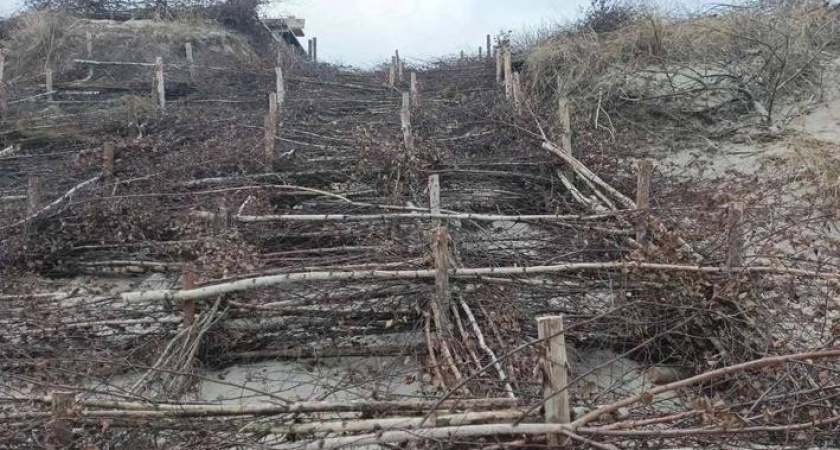 На Куршской косе ликвидировали очередную котловину выдувания