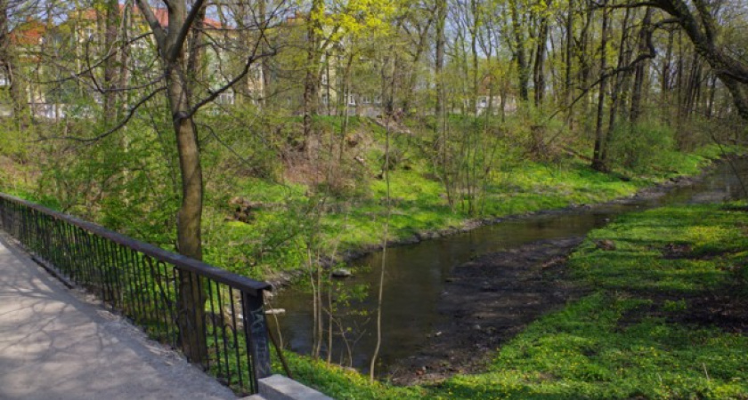 В Калининграде вдоль Паркового ручья будет построен променад