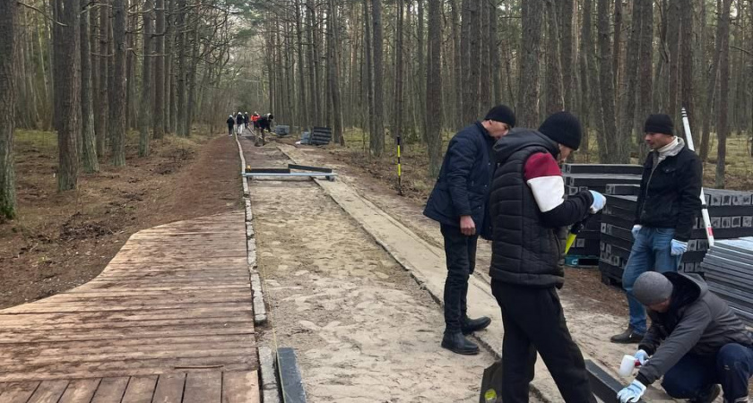 В нац.парке «Куршская коса» начали реконструкцию экотропы