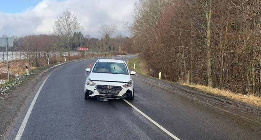 Под Романово на трассе из грузовика вылетели кирпичи и попали в другой автомобиль