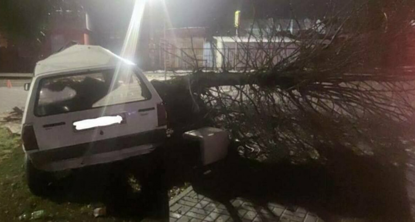 В Полесске неоднократно судимый местный житель напился, угнал чужой автомобиль и врезался в дерево 