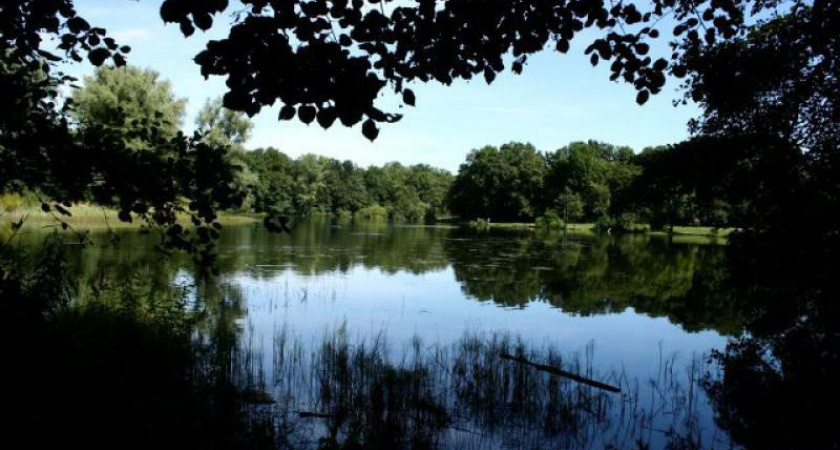 В администрации Калининграда рассказали, когда начнут благоустройство Макс-Ашманн-парка