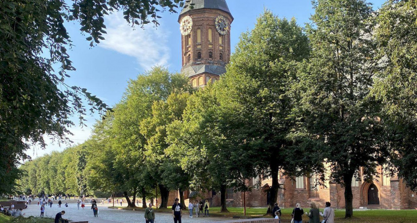 В Калининграде на Острове появятся новые автобусные остановки 