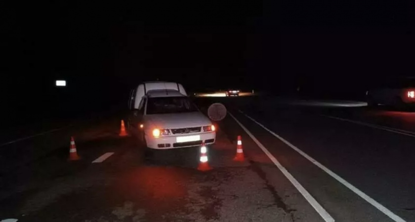 В Неманском районе мужчина шел по центру трассы и оказался под колеса автомобиля