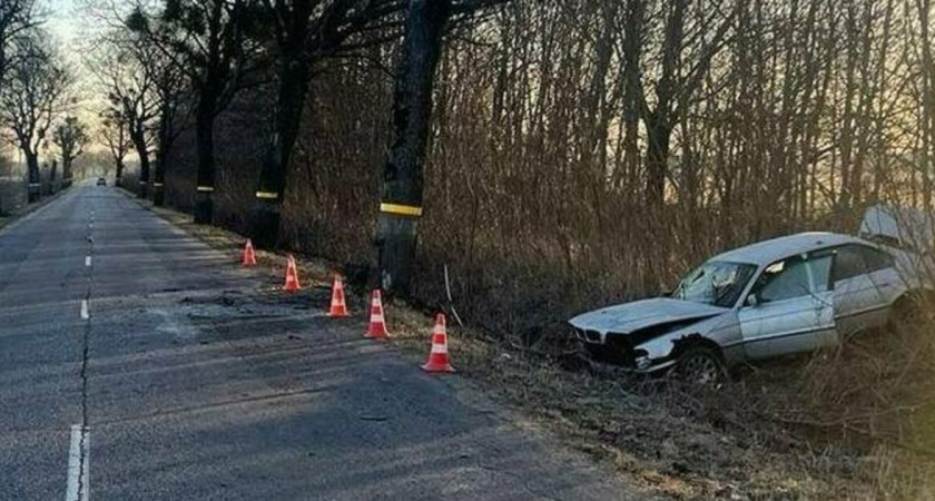 В Гурьевском районе автомобилист неправильно рассчитал скорость и врезался в дерево