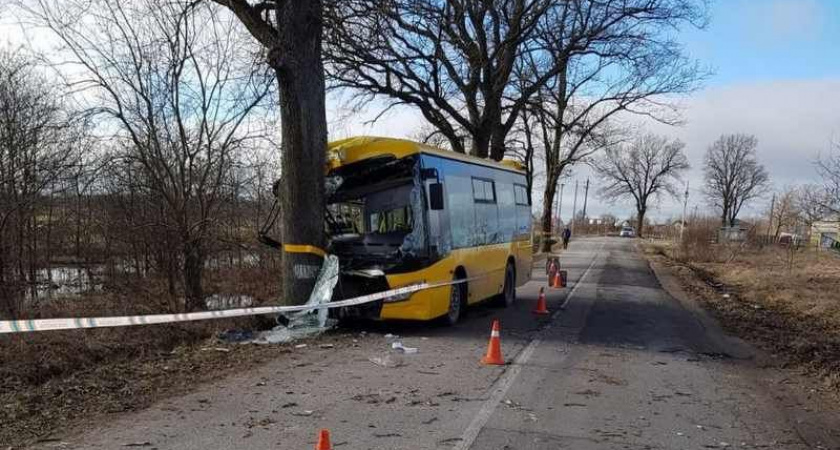 В Гурьевском районе рейсовый автобус врезался в дерево
