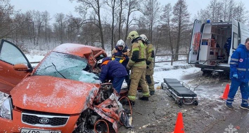 В ДТП под Полесском пострадали женщина и маленький ребенок