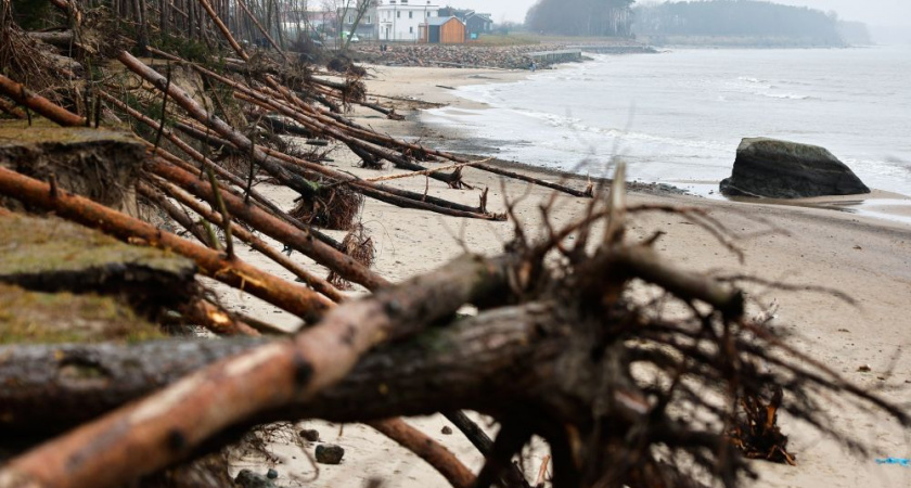 В Калининградской области назвали места, в которых с большей вероятностью может пройти шторм 