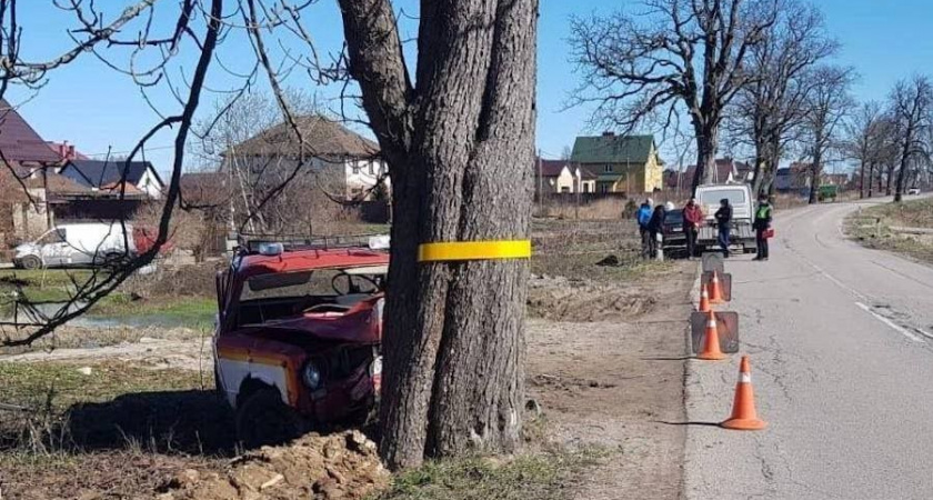 Под Гурьевском автомобиль, стилизованный под пачку соды, врезался в придорожное дерево