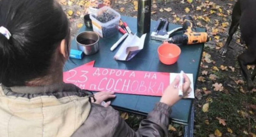 В лесах Полесского и Гвардейского района установили указатели для грибников