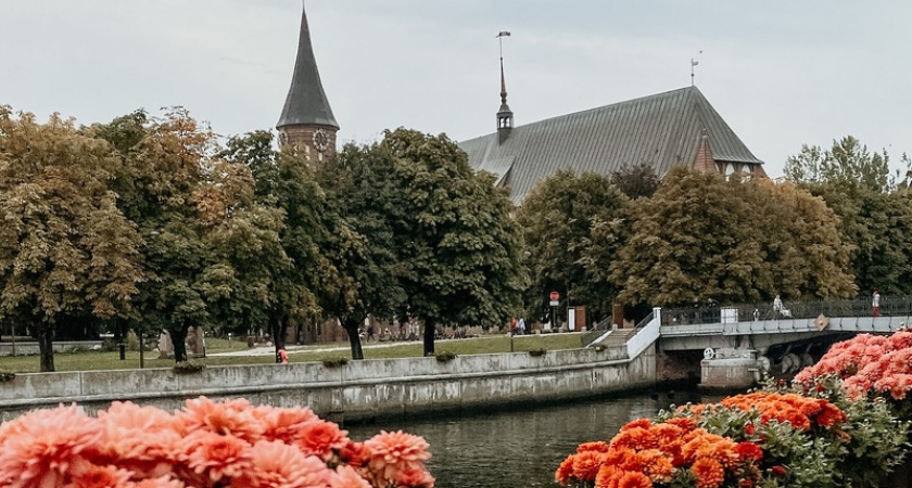 В Калининградской области в начале рабочей недели пойдет мокрый снег