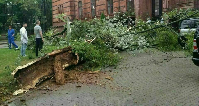 Реки во дворах и поваленные деревья. В городе все еще бушует непогода.