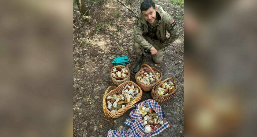 Губернатор собрал 5 корзин грибов и опубликовал фото в социальных сетях.