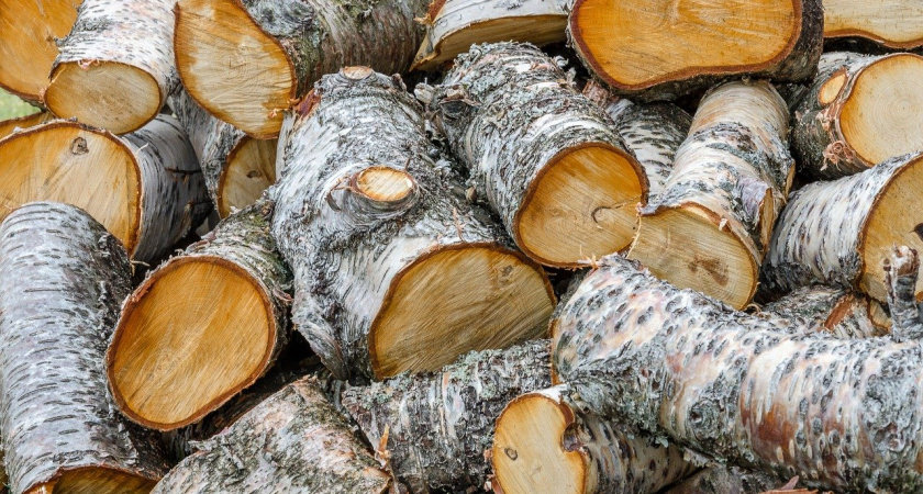 43-летний житель Советска забил своего друга поленом