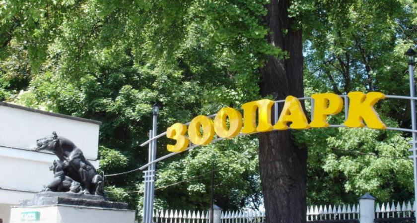 Планы на строительство новых вольеров в Калининградском зоопарке перенесли на 2025 год.