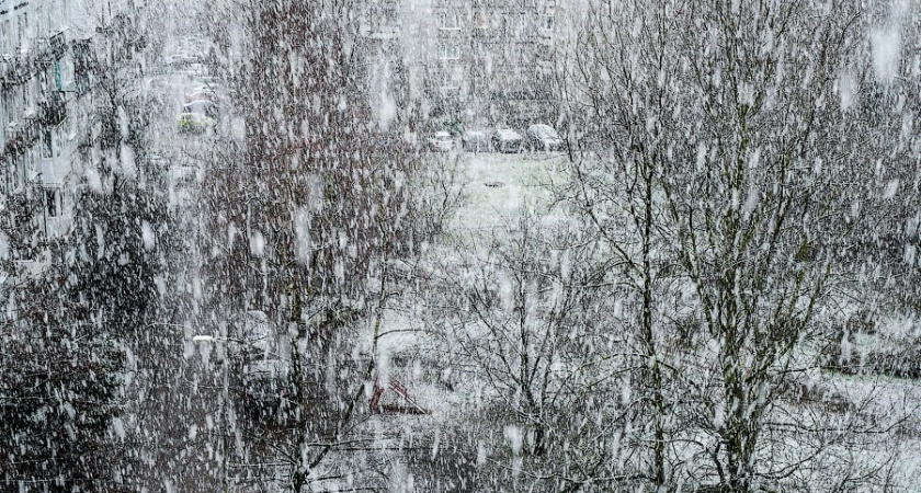 В Калининградской области ожидается первый снег в ночь с 19 на 20 октября