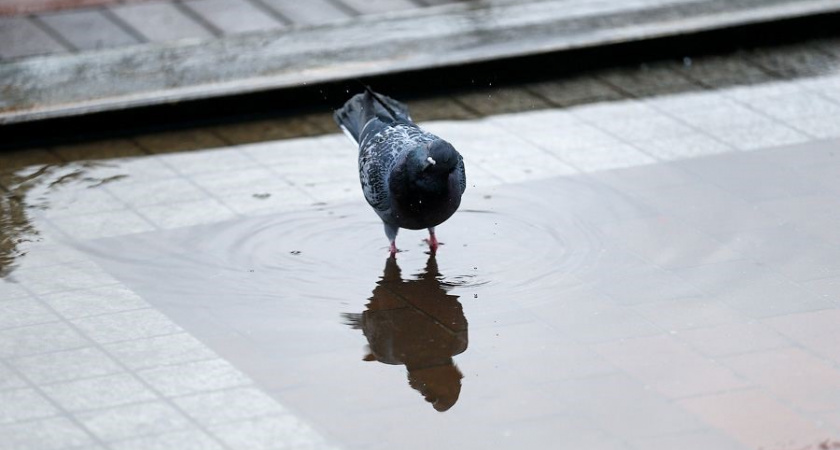 В Калининградской области ожидается пасмурная погода в выходные