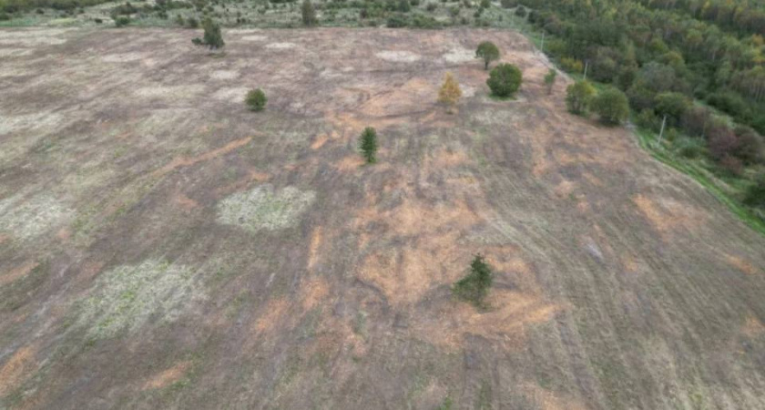 19 гектаров полей в Зеленоградском районе были освобождены от кустов и сорняков