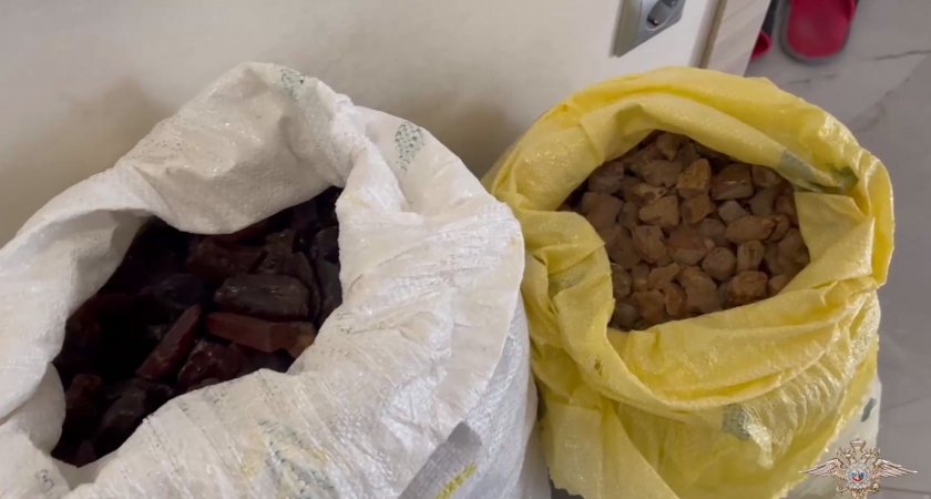 Полиция в Калининградской области изъяла более 550 кг незаконно добытого янтаря (ВИДЕО)