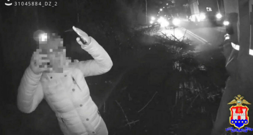 На трассе Калининград — Балтийск произошел инцидент с падающей веткой