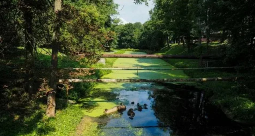 Власти Калининграда ищут подрядчика, чтобы очистить Литовский ручей