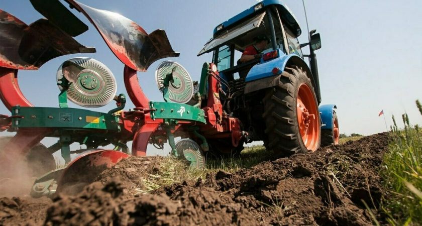 Спрос на сельхозрабочих в Калининградской области за год вырос на 71,8%