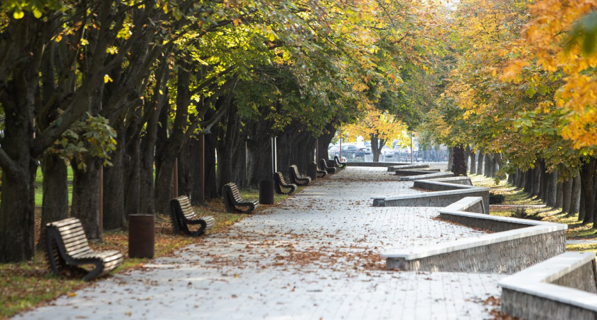 Какая погода сегодня будет в Калининграде?