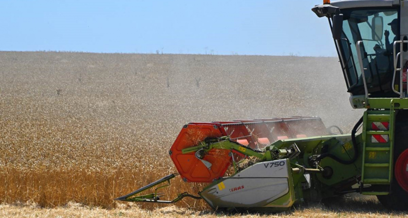 Минсельхоз предложил ограничить экспорт твердой пшеницы из России на полгода