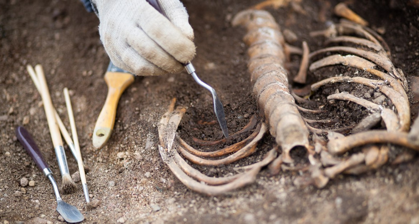 В Польше обнаружена могила, в которой был похоронен мальчик-вампир