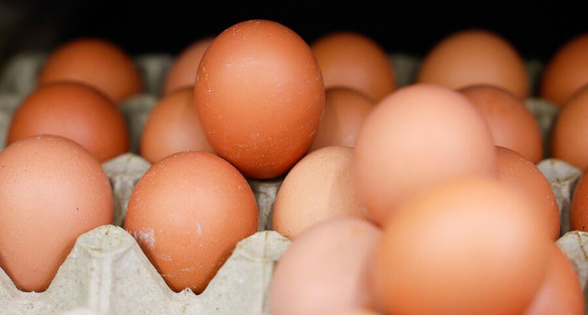 Цены на продукты в калининградских супермаркетах меняются: яйца теперь стоят около 110 рублей за десяток