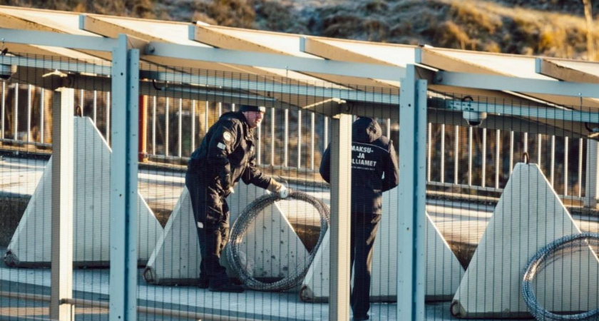 Эстония укрепляет границу с Россией противотанковыми заграждениями «зубы дракона»