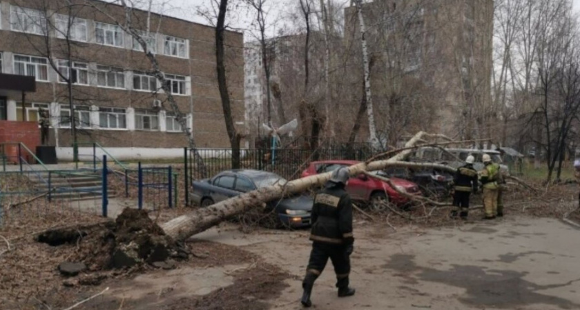 4 человека погибли, а 264 тысячи остались без света: в Сибири прошел мощный ураган