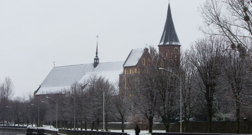 На Острове Канта создадут эко-зону отдыха