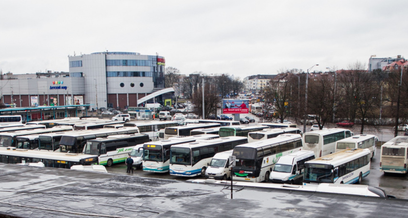 В Калининграде часть общественного транспорта не смогла выйти на линию из-за мороза