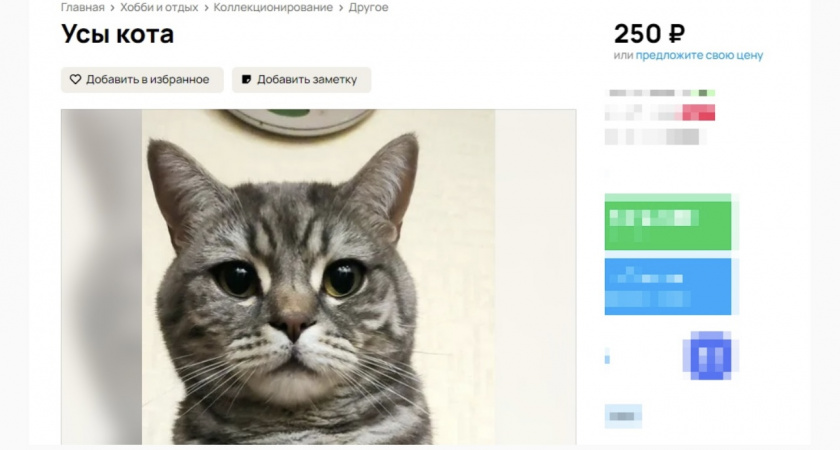 Находчивый мужчина решил заработать на собственном коте. Причем продавал кота по частям