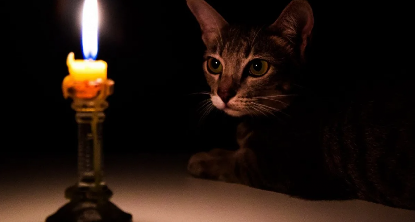 Улицы, на которых отключат свет 6 декабря