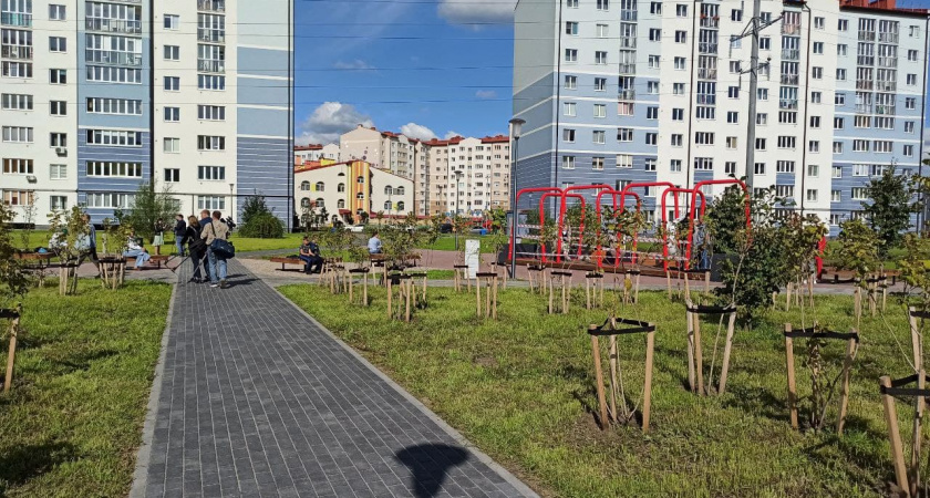 Строительство детского сада на Сельме потребует вырубки 160 деревьев