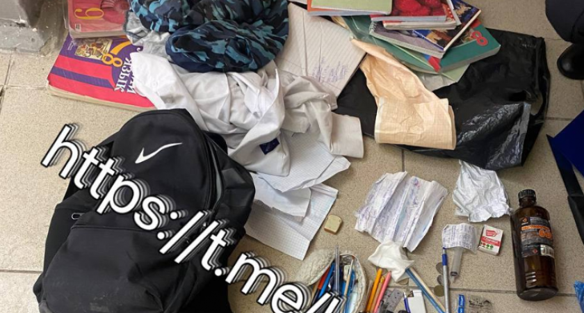 Страшные планы 14-летней Алины: она не только планировала расстрел одноклассников, но и поджог школы