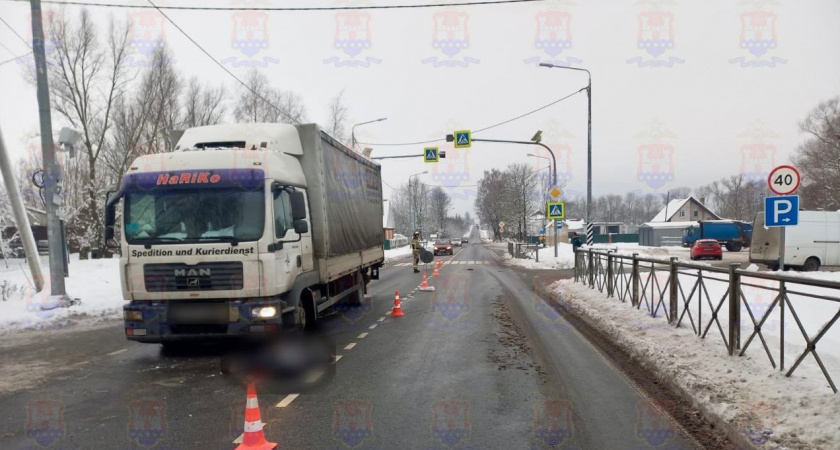 Возбуждено уголовное дело по случаю смертельного наезда на пенсионерку под Неманом