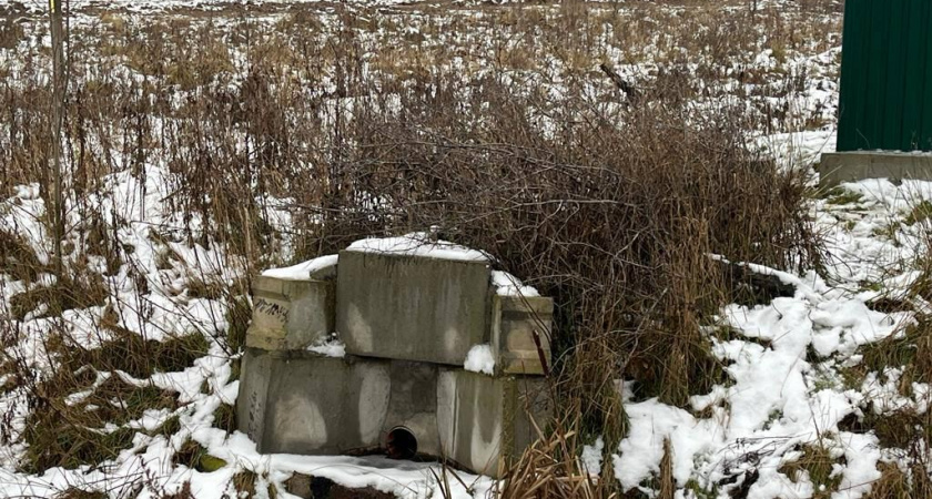 Слив токсичных отходов в канал. «Поречье» по требованию Минприроды прекращает незаконные действия