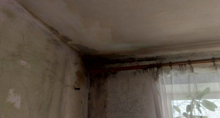 У жильцов дома в Пионерском гниет крыша