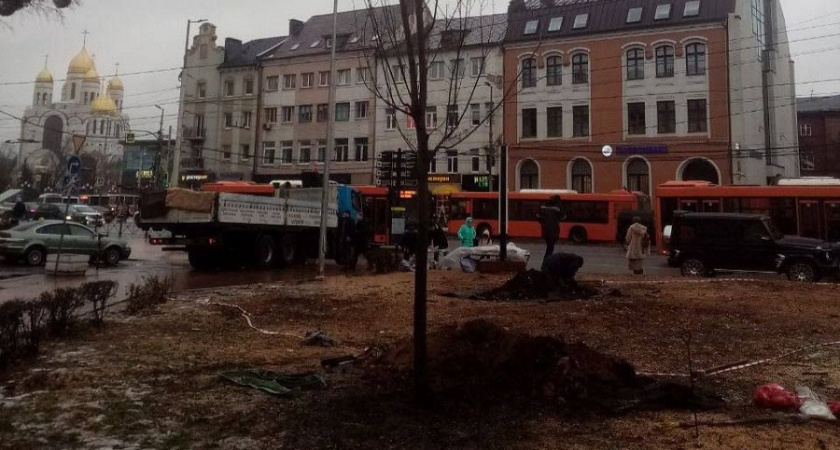 Клены начали сажать в центральном сквере Калининграда