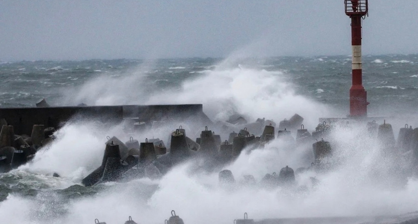 «Лучше посидеть дома». Ветер не отпустит Калининградскую область еще несколько дней